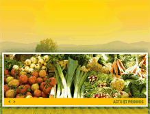 Tablet Screenshot of phyto-bio-nancy.com
